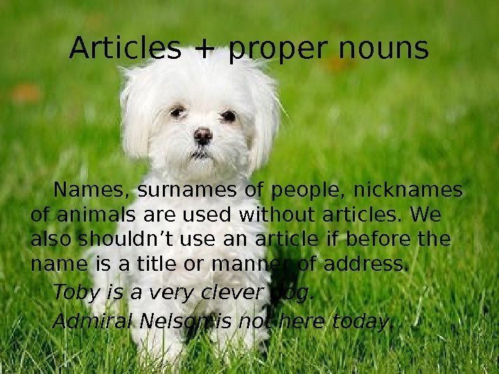 Articles + proper nouns Names, surnames of people, nicknames of animals are used without