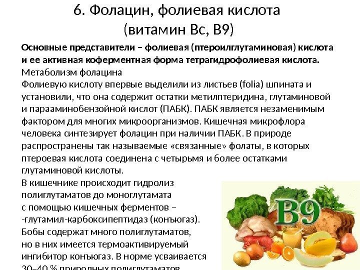 6. Фолацин, фолиевая кислота (витамин Вс, В 9) Основные представители – фолиевая (птероилглутаминовая) кислота