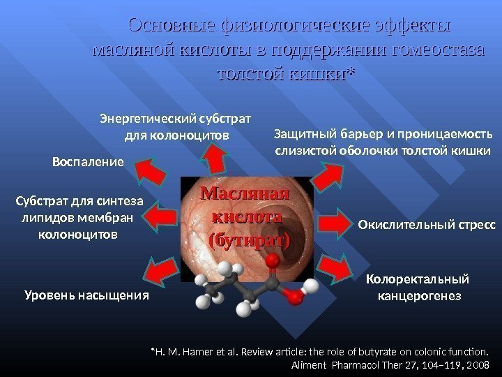 Основные физиологические эффекты масляной кислоты в поддержании гомеостаза толстой кишки*  * H. M.