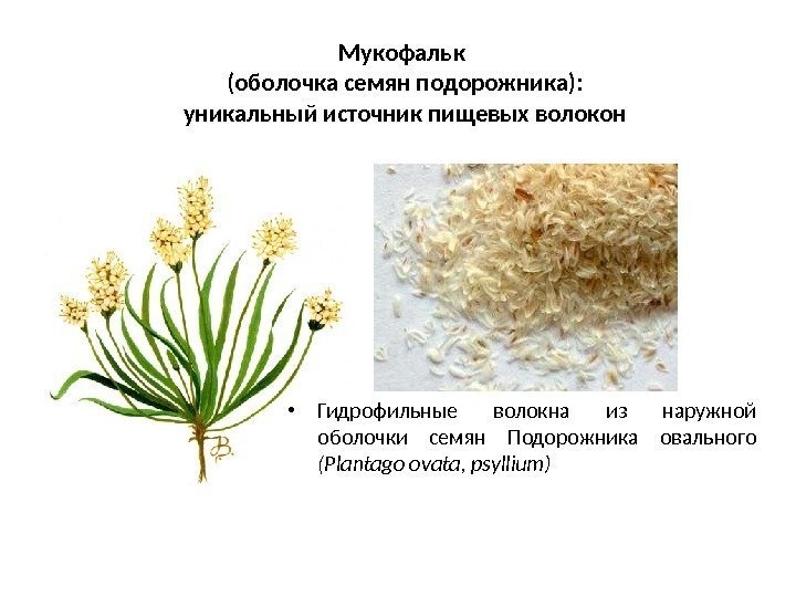  • Гидрофильные волокна из наружной оболочки семян Подорожника овального (Plantago ovata, psyllium) Мукофальк