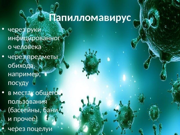 Папилломавирус • через руки инфицированног о человека • через предметы обихода,  например, 