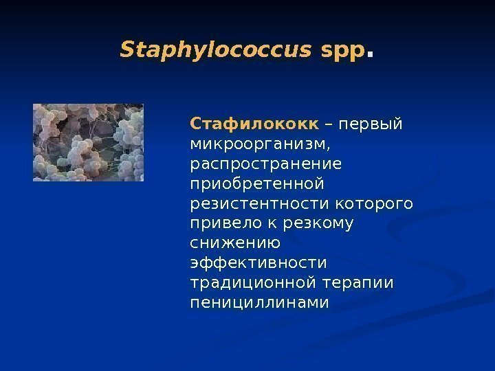 Staphylococcus spp. Стафилококк  – первый микроорганизм,  распространение приобретенной резистентности которого привело к