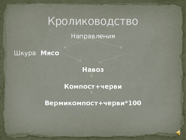 Направления Шкура  Мясо Навоз Компост+черви Вермикомпост+черви*100 Кролиководство 