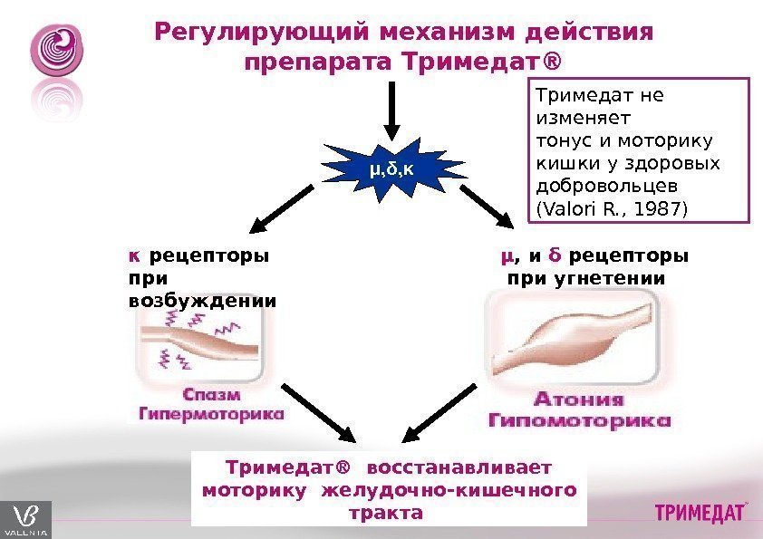 Регулирующий механизм действия препарата Тримедат ®  восстанавливает моторику  желудочно-кишечного тракта κ рецепторы