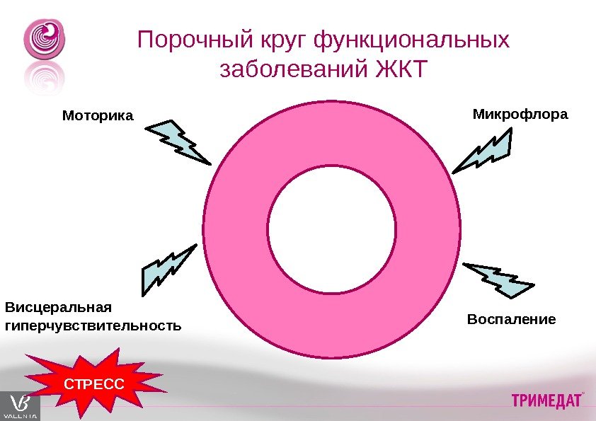 Порочный круг функциональных заболеваний ЖКТ Моторика Воспаление. Висцеральная гиперчувствительность Микрофлора СТРЕСС 