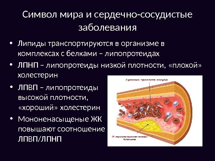 Символ мира и сердечно-сосудистые заболевания • Липиды транспортируются в организме в комплексах с белками