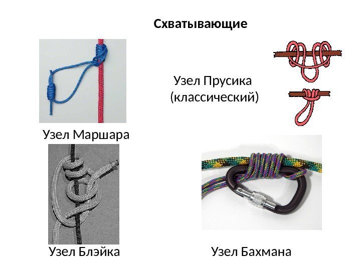 Схватывающие Узел Маршара Узел Прусика  (классический) Узел Блэйка Узел Бахмана 