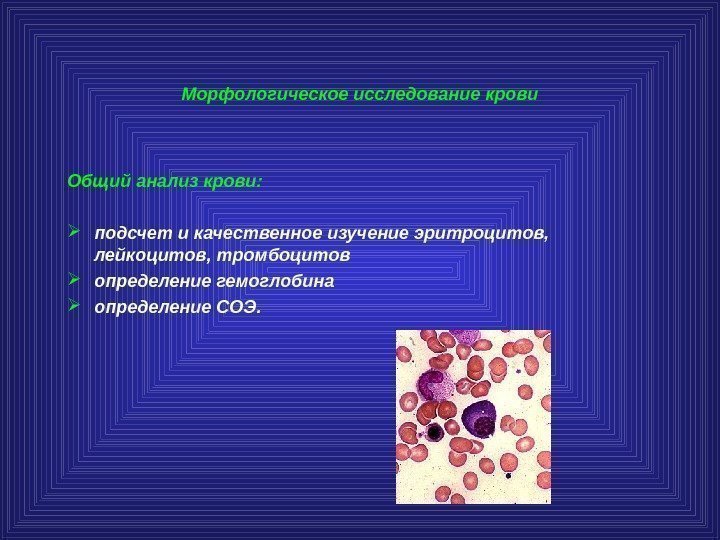 Морфологическое исследование крови Общий анализ крови:  подсчет и качественное изучение эритроцитов,  лейкоцитов,
