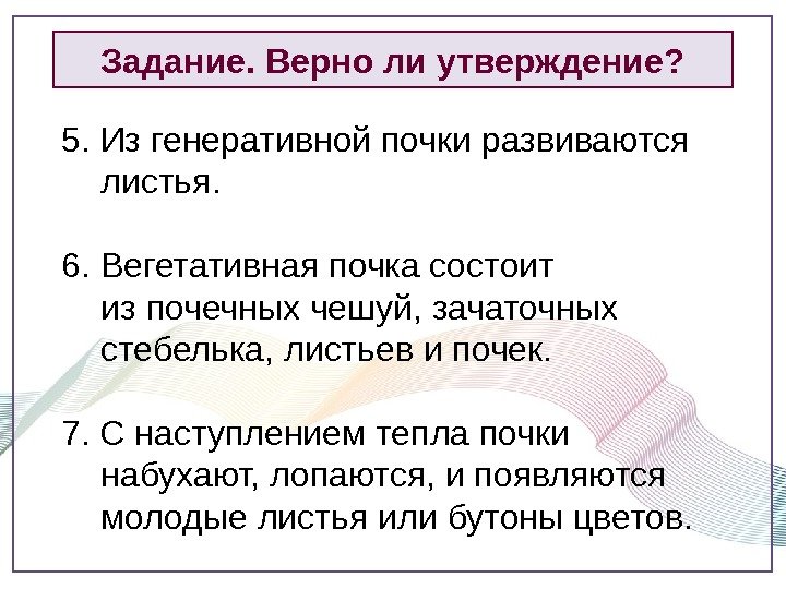 5. Из генеративной почки развиваются листья. 6. Вегетативная почка состоит из почечных чешуй, зачаточных