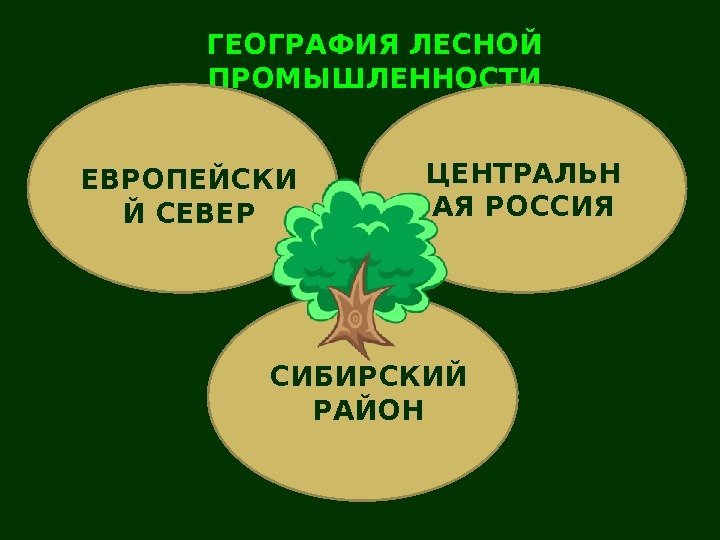 ГЕОГРАФИЯ ЛЕСНОЙ ПРОМЫШЛЕННОСТИ ЕВРОПЕЙСКИ Й СЕВЕР ЦЕНТРАЛЬН АЯ РОССИЯ СИБИРСКИЙ РАЙОН 