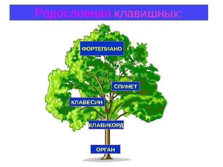 Родословная клавишных: ОРГАНКЛАВИКОРДКЛАВЕСИН СПИНЕТФОРТЕПИАНО 