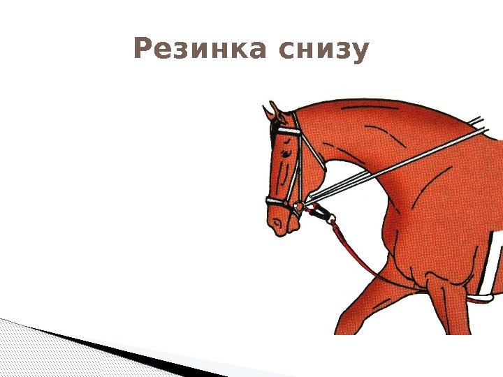 Резинка снизу  