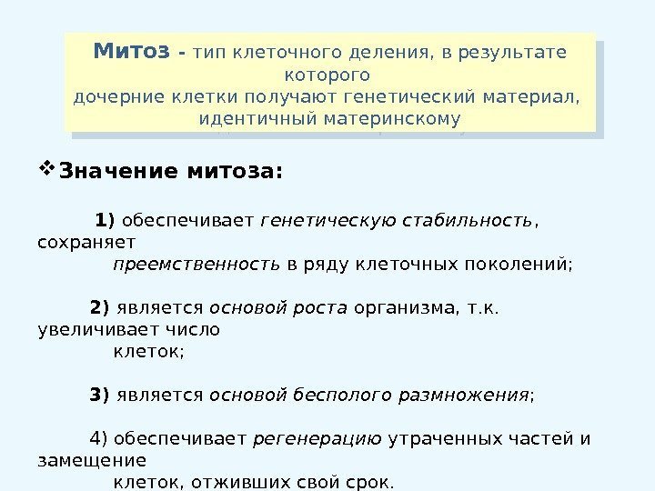 Митоз - тип клеточного деления, в результате которого дочерние клетки получают генетический материал, 