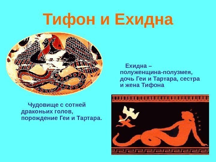 Тифон и Ехидна Чудовище с сотней драконьих голов, порождение Геи и Тартара. Тифон и Ехидна Чудовище с сотней драконьих голов, порождение Геи и Тартара.