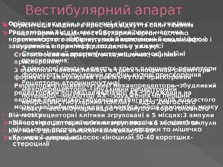 Вестибулярний апарат Орієнтація людини в просторі, відчуття сили тяжіння Рецепторний відділ-вестибулярний орган-частина претинчастого лабіринту,