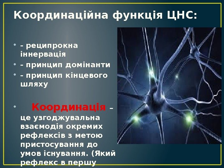 Координаційна функція ЦНС:  • - реципрокна іннервація  • - принцип домінанти •