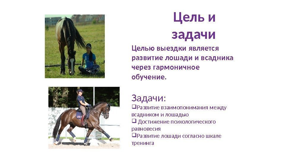 Цель и задачи Целью выездки является развитие лошади и всадника через гармоничное обучение. Задачи: