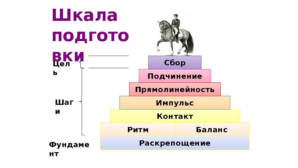 Контакт Баланс. Ритм Раскрепощение Импульс. Подчинение Прямолинейность Сбор Фундаме нт Цел ь Шаг и.