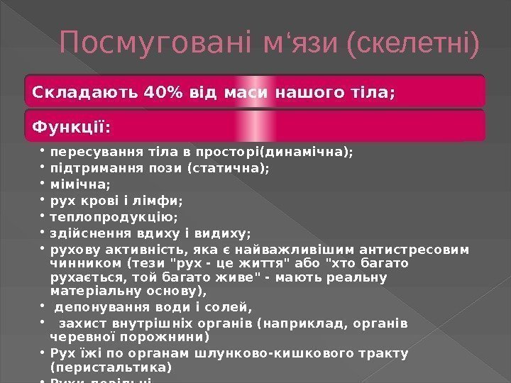 Посмуговані м ‘язи (скелетні) Складають 40 від маси нашого тіла; Функції:  • пересування