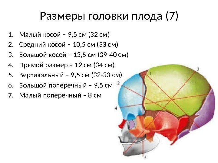 Размеры головки плода (7) 1. Малый косой – 9, 5 см (32 см) 2.