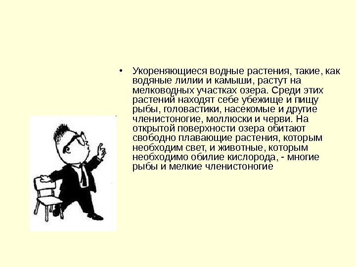   • Укореняющиеся водные растения, такие, как водяные лилии и камыши, растут на