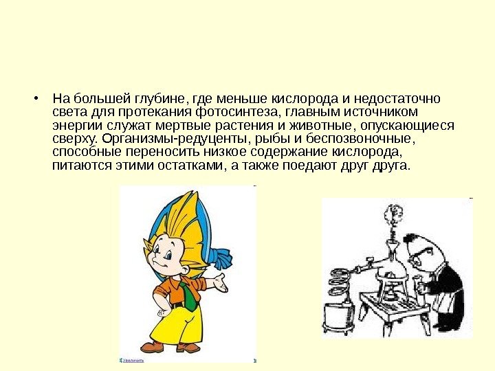   • На большей глубине, где меньше кислорода и недостаточно света для протекания