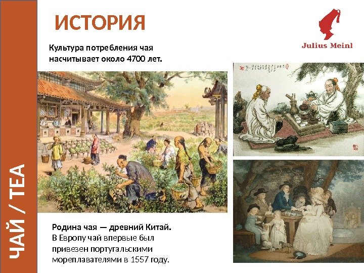 ИСТОРИЯ  Родина чая — древний Китай.  В Европу чай впервые был привезен