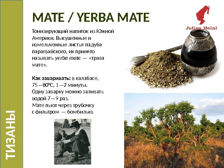 МАТЕ / YERBA MATE Т И З А Н Ы Тонизирующий напиток из Южной