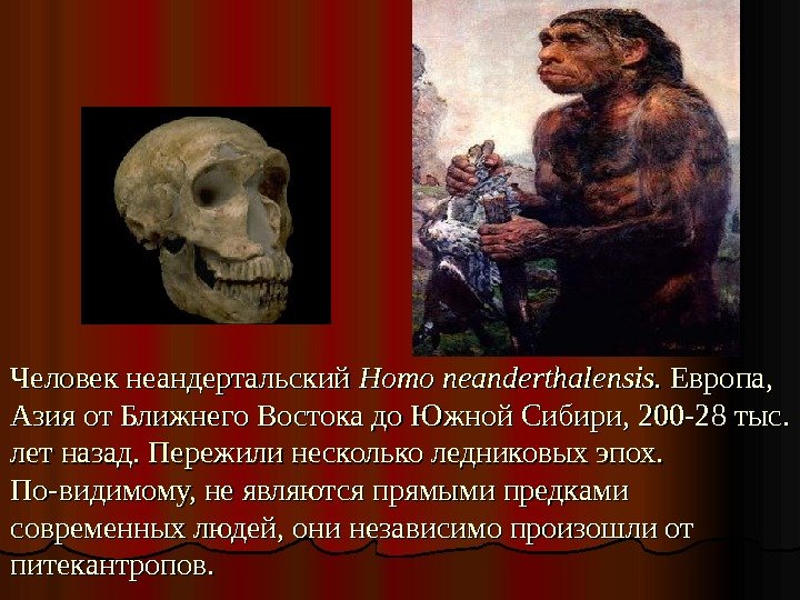 Человек неандертальский Homo neanderthalensis. .  Европа,  Азия от Ближнего Востока до Южной