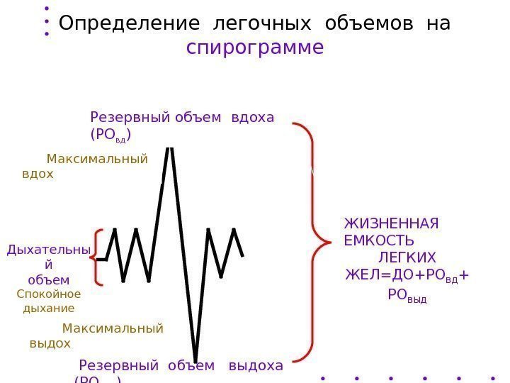 Дыхательны й объем Спокойное дыхание Определение легочных объемов на спирограмме  Резервный объем 