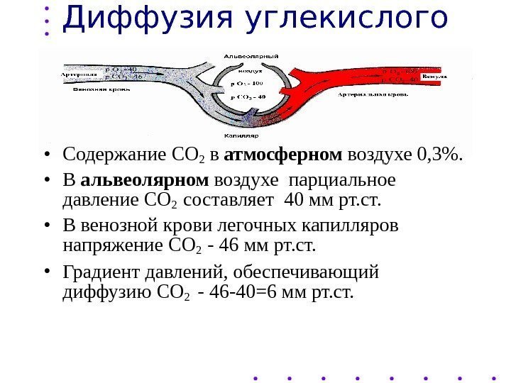 Диффузия углекислого газа • Содержание СО 2 в атмосферном воздухе 0, 3.  •