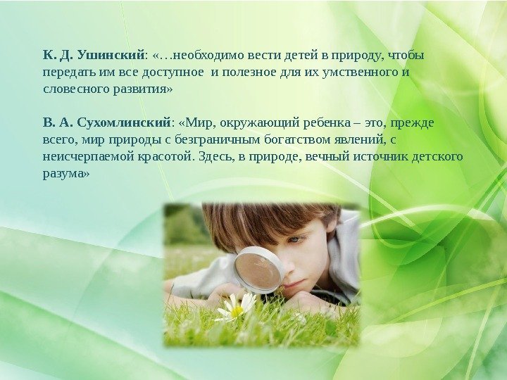 К. Д. Ушинский :  «…необходимо вести детей в природу, чтобы передать им все