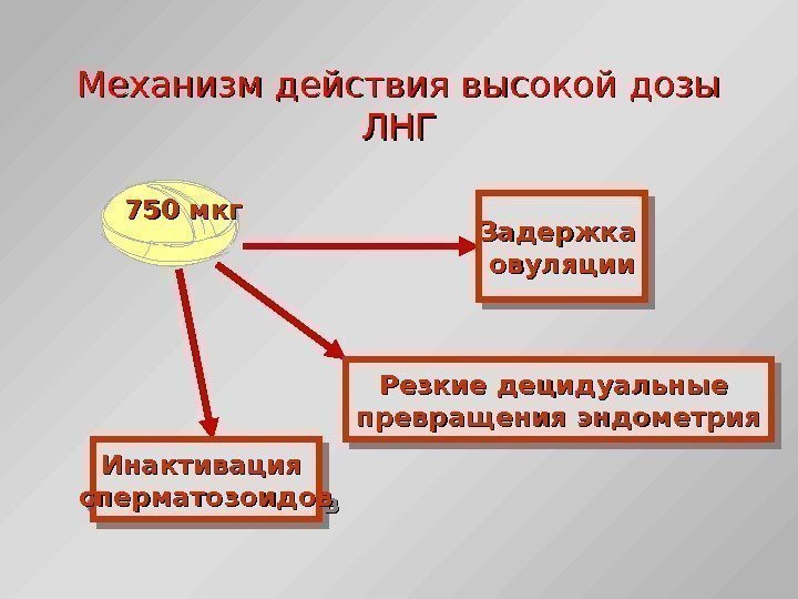 Механизм действия высокой дозы ЛНГЛНГ Задержка овуляции Резкие децидуальные превращения эндометрияпревращения эндометрия Инактивация сперматозоидовсперматозоидов