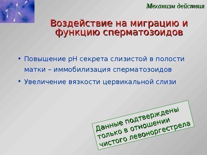 Воздействие на миграцию и функцию сперматозоидов • Повышение р. Н секрета слизистой в полости