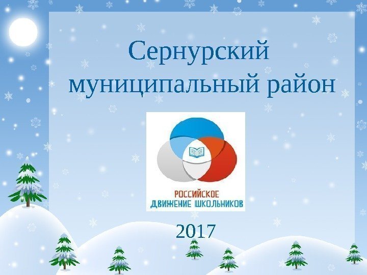 Сернурский муниципальный район 2017 