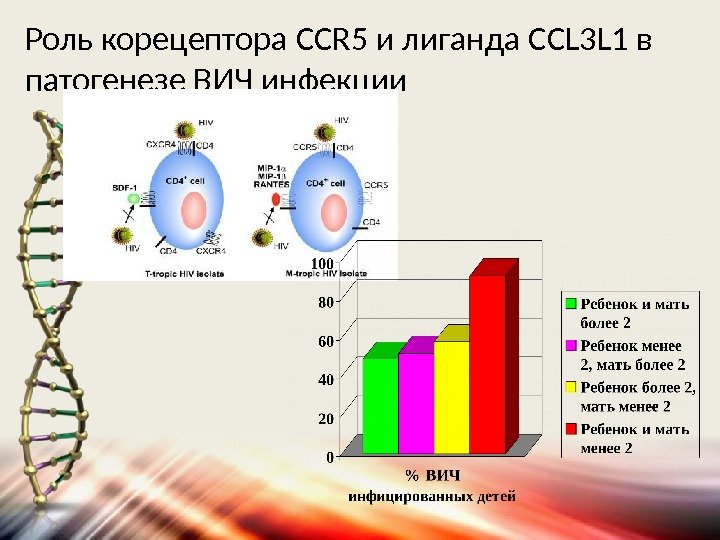 Роль корецептора CCR 5 и лиганда CCL 3 L 1 в патогенезе ВИЧ инфекции