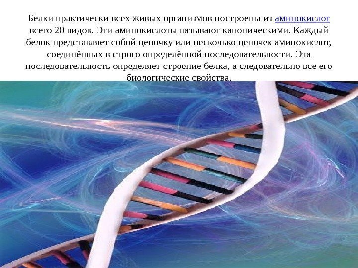 Белки практически всех живых организмов построены из аминокислот  всего 20 видов. Эти аминокислоты