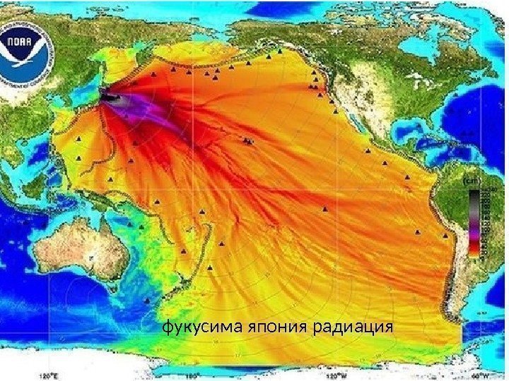 фукусима япония радиация 