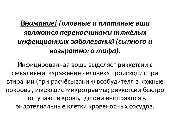 Внимание! Головные и платяные вши являются переносчиками тяжёлых инфекционных заболеваний (сыпного и возвратного тифа).