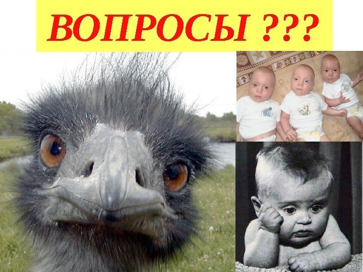 ВОПРОСЫ  ? ? ? 