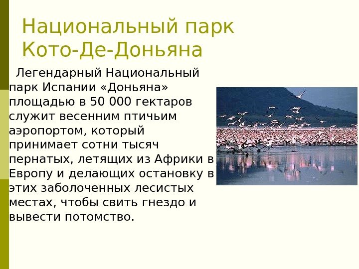 Национальный парк Кото-Де-Доньяна Легендарный Национальный парк Испании «Доньяна»  площадью в 50000 гектаров служит