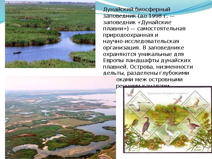 Дунайский биосферный заповедник (до 1998 г. — заповедник «Дунайские плавни» ) — самостоятельная природоохранная