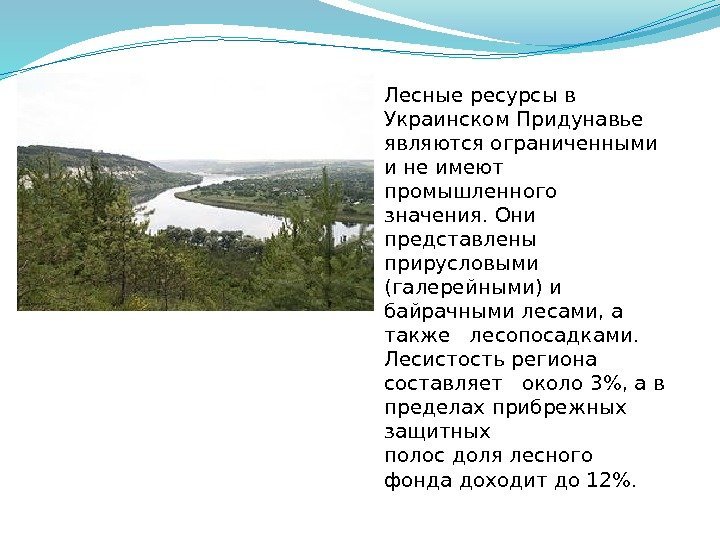 Лесные ресурсы в Украинском Придунавье являются ограниченными и не имеют промышленного значения. Они представлены