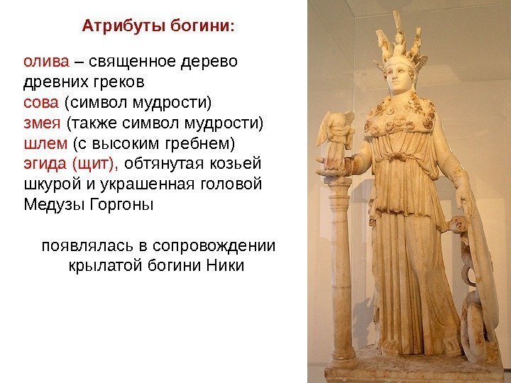 Атрибуты богини:    олива – священное дерево древних греков сова (символ мудрости)