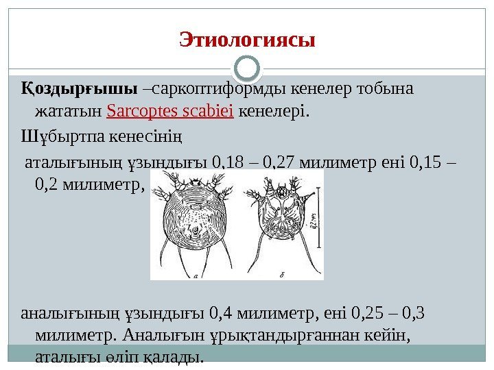 Этиологиясы оздыр ышыҚ ғ –саркоптиформды кенелер тобына жататын Sarcoptes scabiei кенелері. Ш быртпа кенесіні