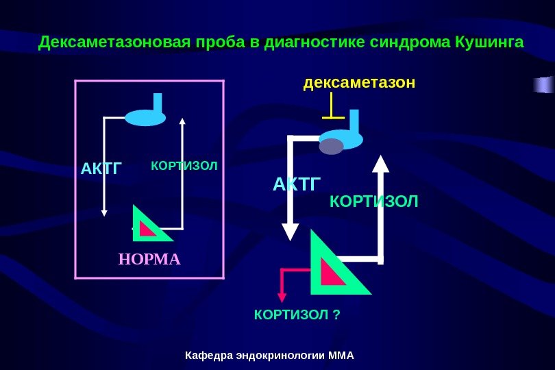 Кафедра эндокринологии ММААКТГ КОРТИЗОЛ НОРМА АКТГ КОРТИЗОЛ ? дексаметазон. Дексаметазоновая проба в диагностике синдрома