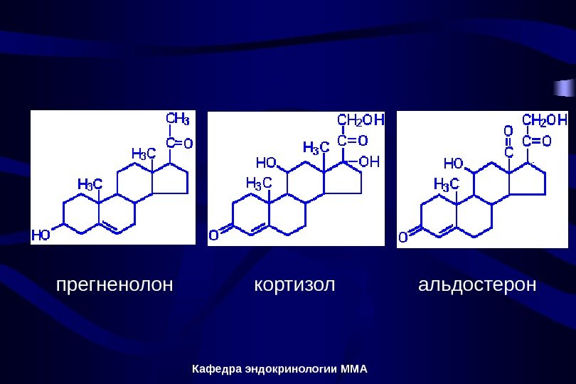Кафедра эндокринологии ММАпрегненолон кортизол альдостерон 