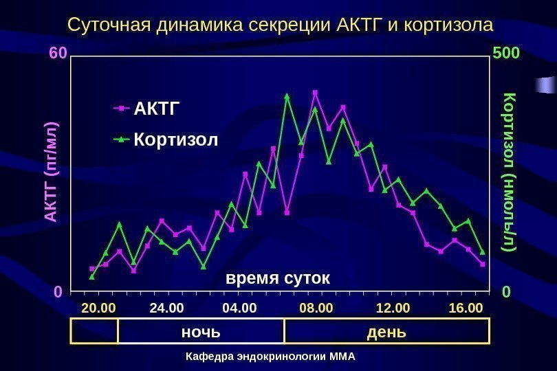 Кафедра эндокринологии ММАСуточная динамика секреции АКТГ и кортизолавремя суток АКТГ Кортизол 00 50060 А