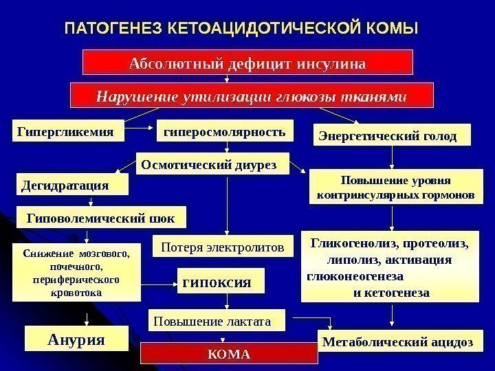 ПАТОГЕНЕЗ КЕТОАЦИДОТИЧЕСКОЙ КОМЫ Абсолютный дефицит инсулина Нарушение утилизации глюкозы тканями Гипергликемия гиперосмолярность Энергетический голод