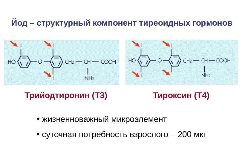 Йод – структурный компонент тиреоидных гормонов Трийодтиронин (Т 3) Тироксин (Т 4) • 